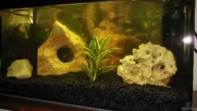 Becken 1605 von Katie Sandmann