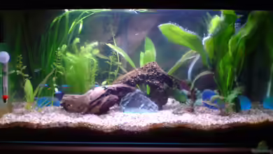 Becken 16116 von saglet