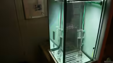 Becken 16146 von bull70