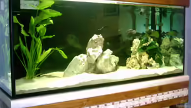 Becken 1623 von Roland Weber