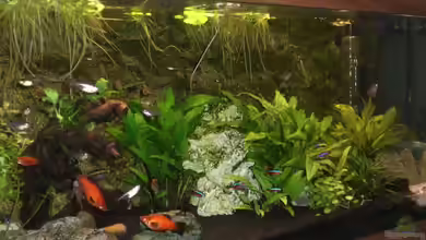 Becken 16325 von Jan Krüger