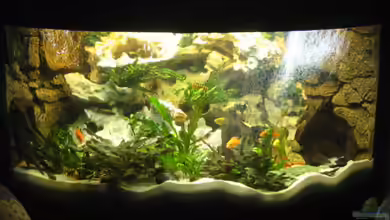 Becken 1648 von Kai Kielczynski