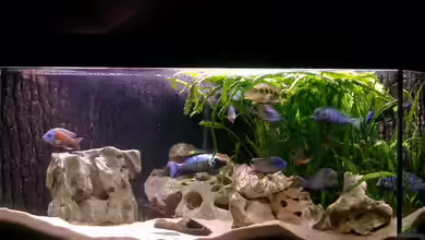 Becken 169 von Matthias Zeidler