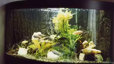 Becken 17 von Manfred Bergler