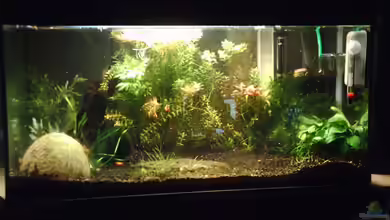 Becken 17122 (Nur noch als Beispiel) von El Grande