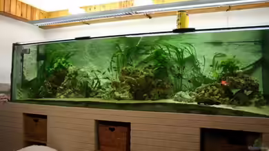 Becken 1723 von Malte Stunz