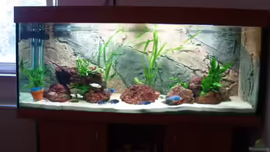 Becken 17677 von Aqua2010