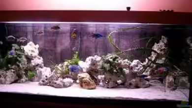 Becken 179 von Harry Kappler