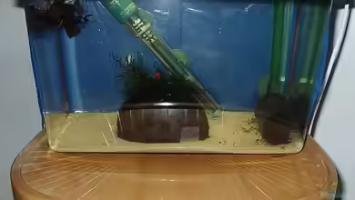 Becken 1804 von Torsten Bullmahn