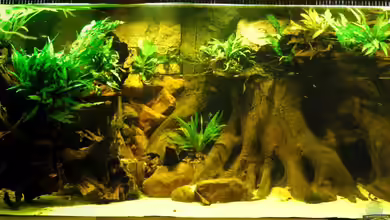 Becken 18099 von Horst Sander