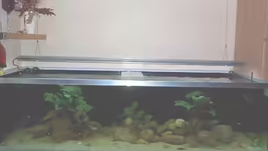 Becken 1832 von Jens und Manuela Ruhr