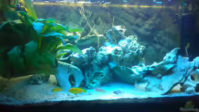 Becken 18467 von Deathy