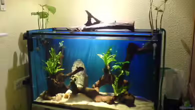 Becken 1851 von Ralf Kahl