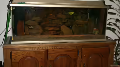 Becken 18911 von Esslinger