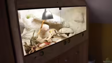 Becken 18981 von Marcel Stübs