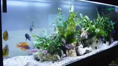 Becken 190 von Mario Matthes