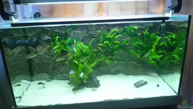 Becken 19163 von Matze38