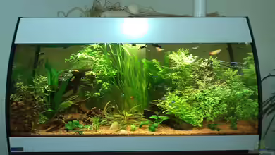 Becken 19204 von Alex Resch