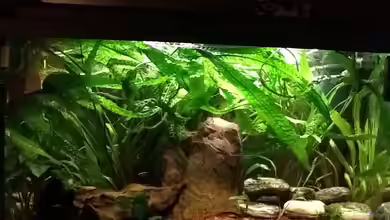 Becken 19209 von Oliver Renkel