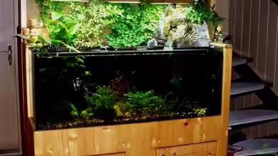 Becken 1921 von Werner Lehmann