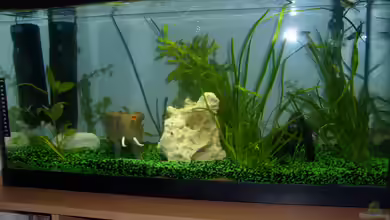 Becken 19238 von anette