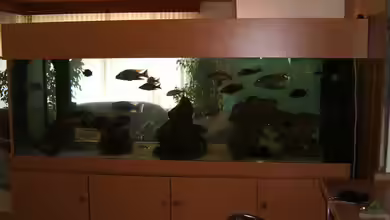 Becken 196 von Heider Frank