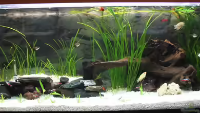 Becken 19779 von Andi1980