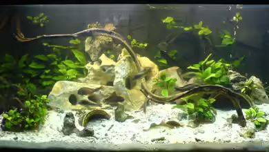 Becken 1982 von Markus Ludwar