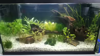 Becken 2.0 von David Böhme