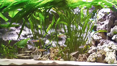 Becken 2 von Dirk Lehmann