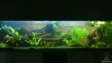 Becken 20004 von Blue2