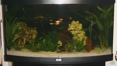 Becken 2022 von Enrico Franke