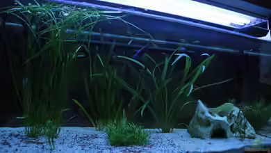 Becken 21504 von chris7