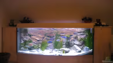 Becken 2162 von Kasanga