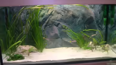 Becken 2171 von Christopher Winkler