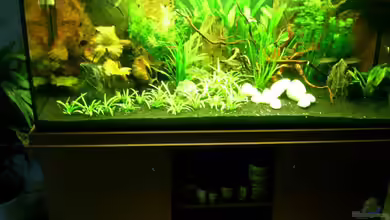 Becken 2173 von Stefan Saal