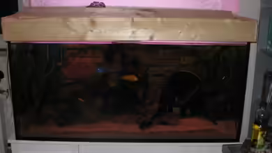 Becken 21937 von Markus Hoffman