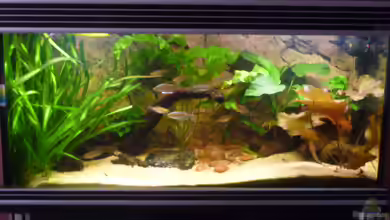 Becken 22012 von Marc Wollenberg