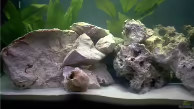 Becken 2211 von Christian Klar