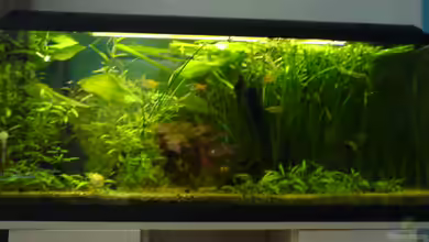 Becken 2221 von Andrea Nädler