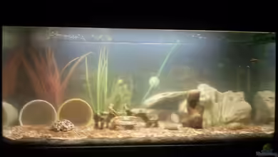 Becken 22213 von milchschnidde