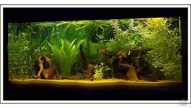 Becken 2222 von Martin Lenhardt