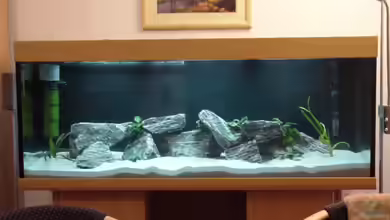 Becken 2223 von Klaus Muckenheim