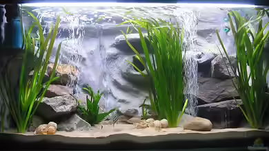 Becken 225 von Andreas Sachisthal