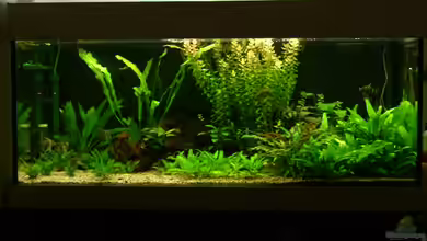 Becken 2251 von Florian Sauer Wehinger