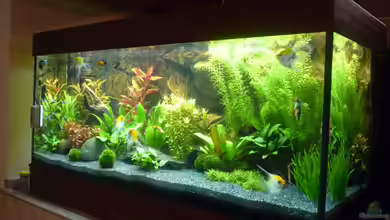 Becken 22527 von Björn Heuer