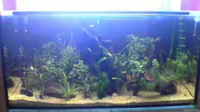 Becken 2256 von Steven Tumma