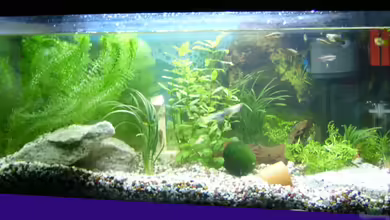 Becken 2268 von Julia Kerz