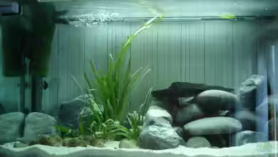 Becken 2289 von Hans Broger