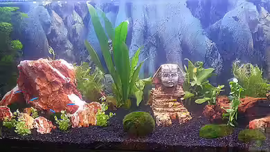 Becken 23118 von ElFluppe